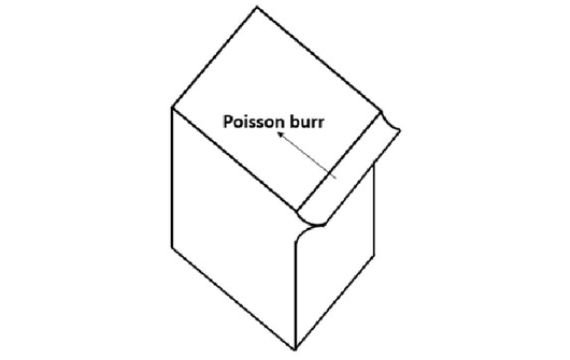 Poisson Burrs