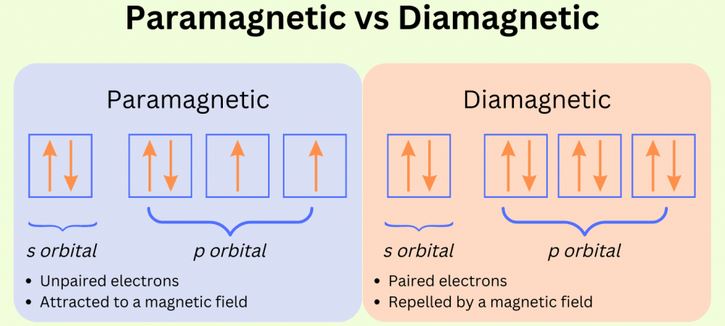 Diamagnetism vs Paramagnetic