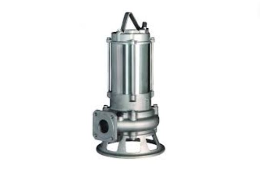 Stainless Steel Pumps