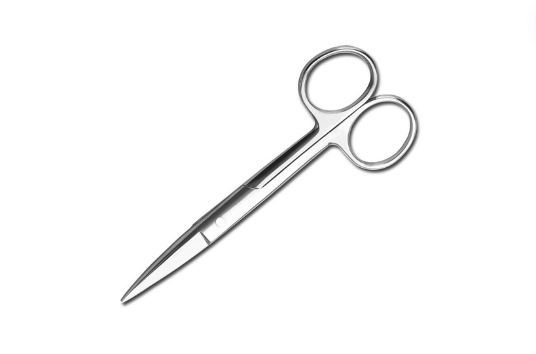 Stainless Steel Scissors